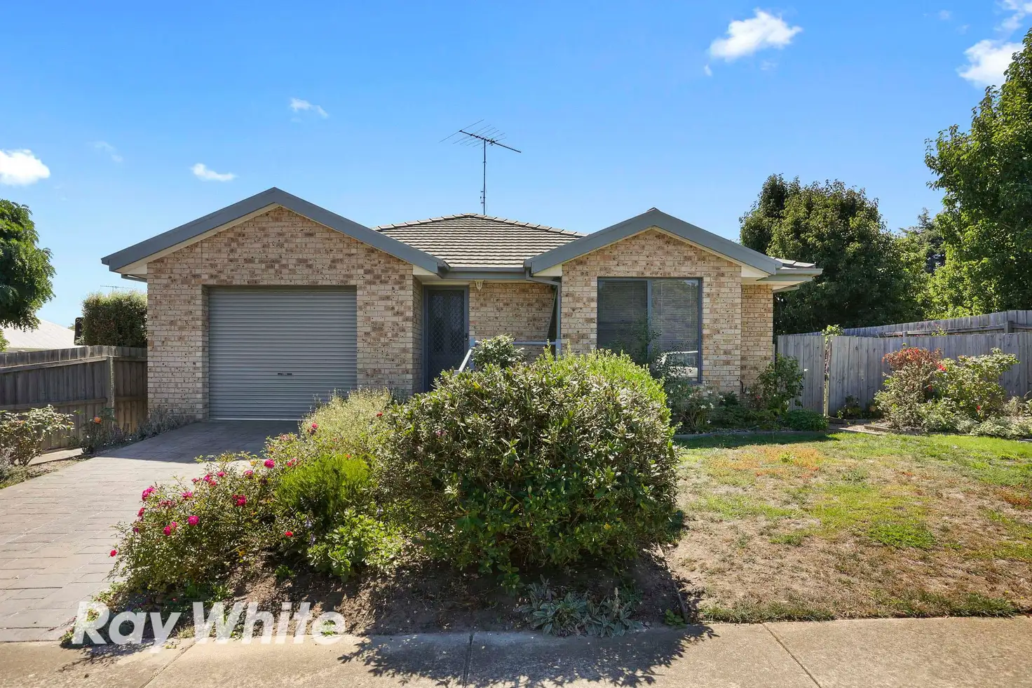 Main view of Homely house listing, 68 Wyndham Street, Drysdale VIC 3222