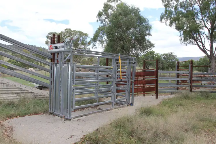 Third view of Homely rural property listing, Lot 100 Frost Road, Tenterfield NSW 2372