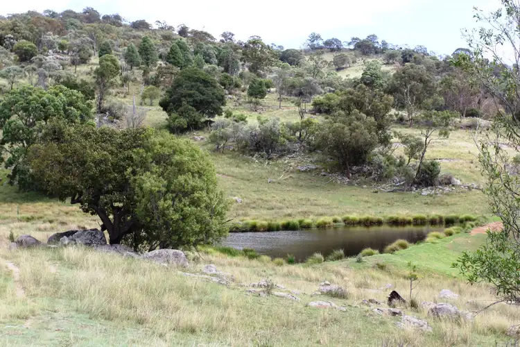 Seventh view of Homely rural property listing, Lot 100 Frost Road, Tenterfield NSW 2372