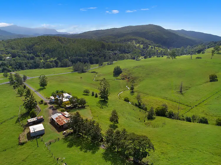 1563 Tyalgum Road, Tyalgum NSW 2484