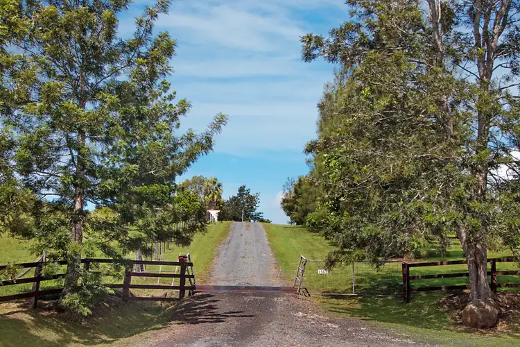 Sixth view of Homely rural property listing, 1563 Tyalgum Road, Tyalgum NSW 2484