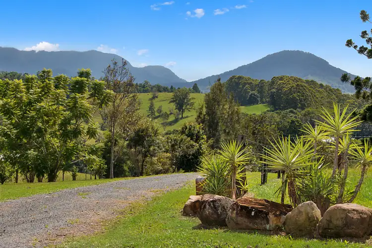 Seventh view of Homely rural property listing, 1563 Tyalgum Road, Tyalgum NSW 2484