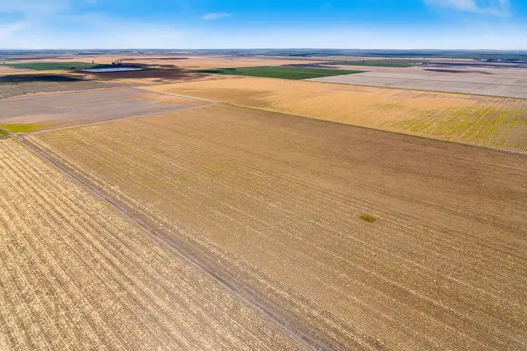 Seventh view of Homely rural property listing, 0 Pampas - Horrane Road, Cecil Plains QLD 4407