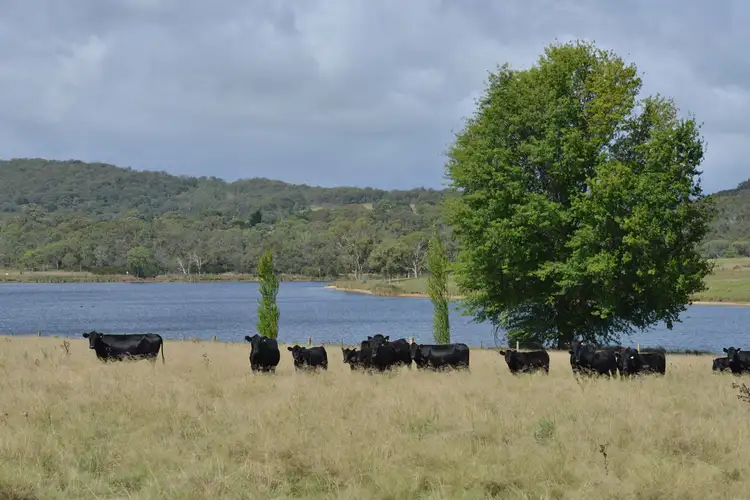 Second view of Homely rural property listing, 8864 New England Highway, Tenterfield NSW 2372