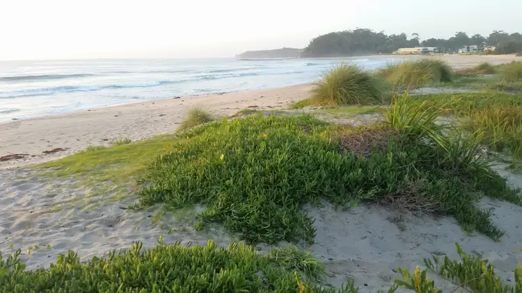 Seventh view of Homely house listing, 24 Mitchell Parade, Mollymook Beach NSW 2539