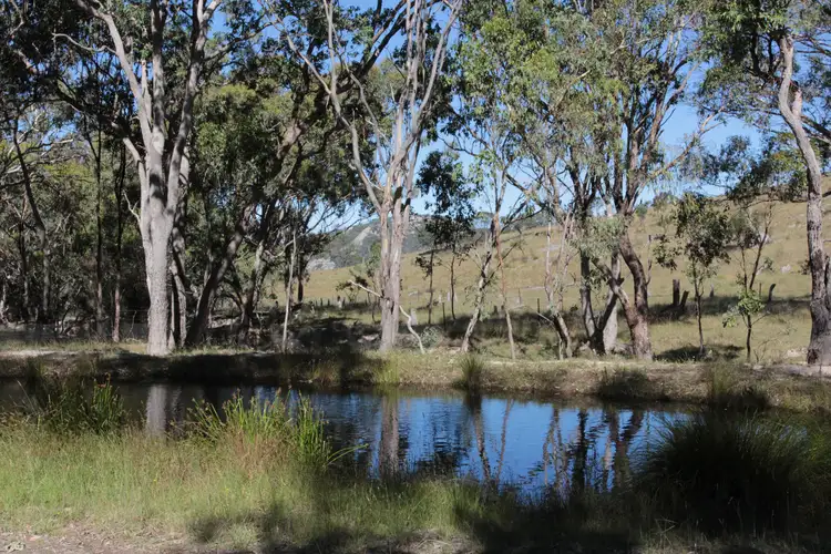 Main view of Homely rural property listing, Lot 23 Harvey's Lane, Tenterfield NSW 2372
