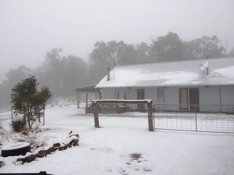 Third view of Homely rural property listing, Lot 23 Harvey's Lane, Tenterfield NSW 2372