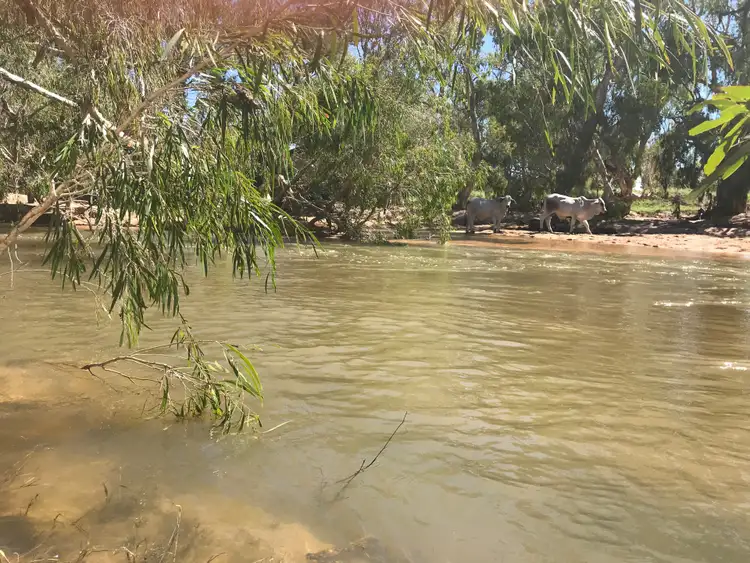 Seventh view of Homely rural property listing, Somerset, Charters Towers QLD 4820