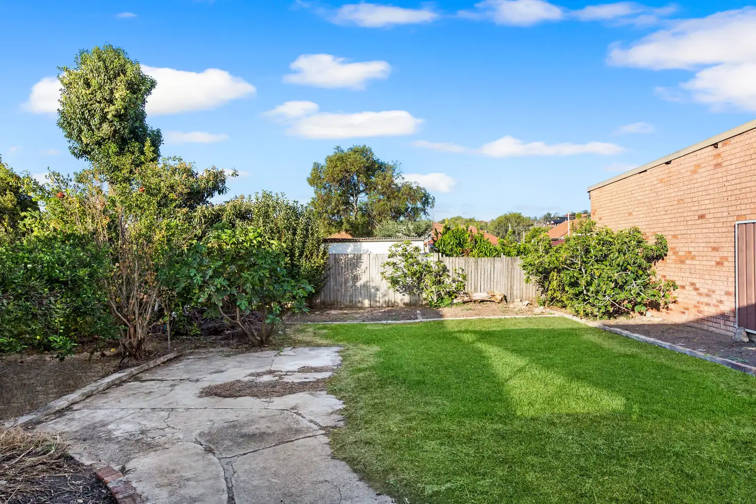Main view of Homely house listing, 49 Malley Avenue, Earlwood NSW 2206