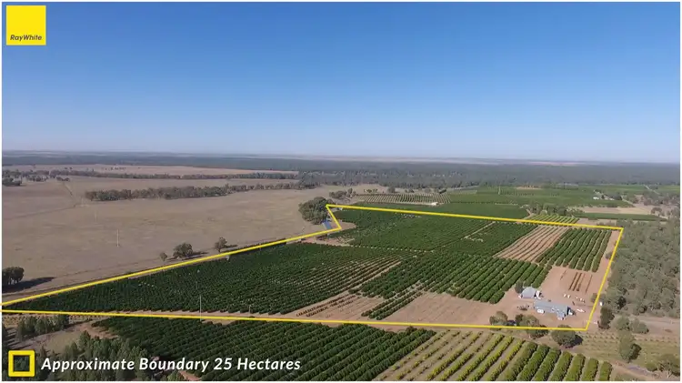 Main view of Homely rural property listing, Farm 1572 42 Stannard Road, Cudgel NSW 2700