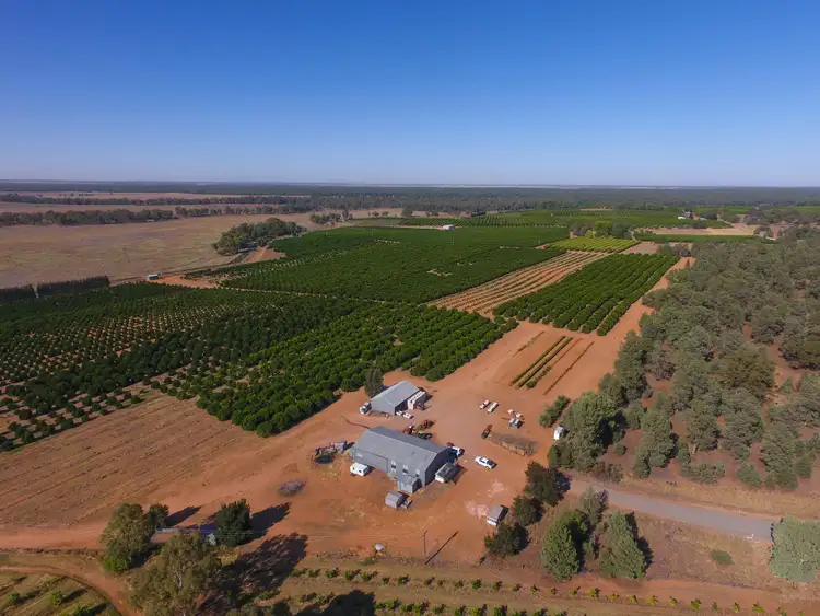 Second view of Homely rural property listing, Farm 1572 42 Stannard Road, Cudgel NSW 2700