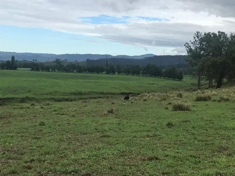 Fifth view of Homely rural property listing, Lot 6 DP162949 Dungog Road, Dungog NSW 2420