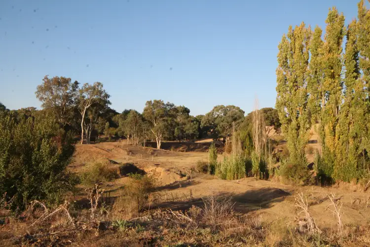 Seventh view of Homely land listing, 1/35 Rowleys Road, Young NSW 2594