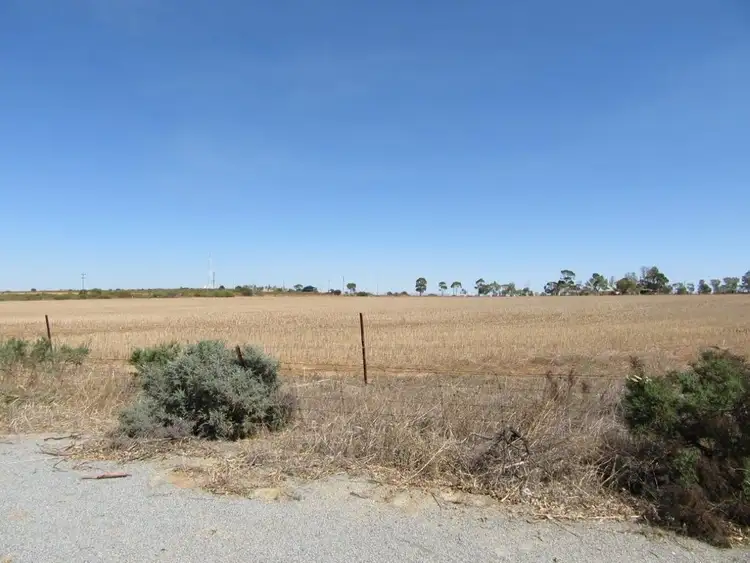 Fifth view of Homely house listing, 19 Parker Street, Carnamah WA 6517