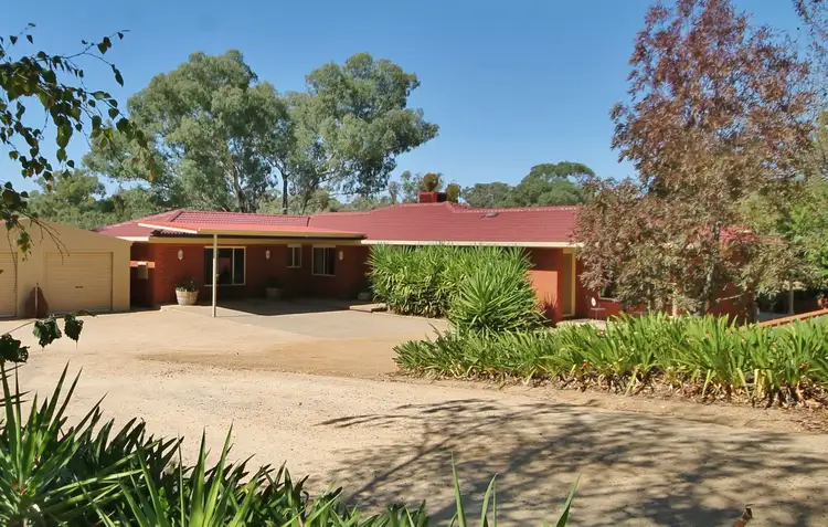 50 - 52 Petticoat Lane, Young NSW 2594