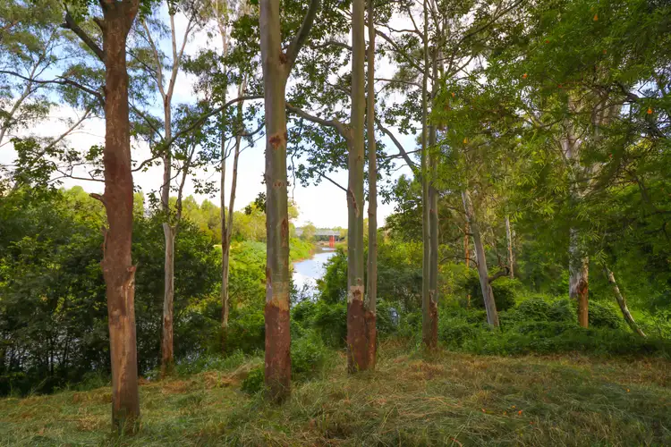 Third view of Homely land listing, 0 MacGregor Street, Woodend QLD 4305