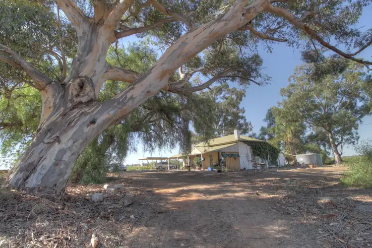 Second view of Homely house listing, 273 Puddletown Road, Winkie SA 5343