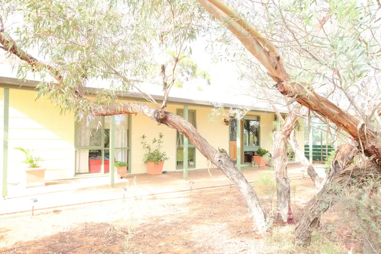 Second view of Homely house listing, 18722 Sturt Highway, Monash SA 5342