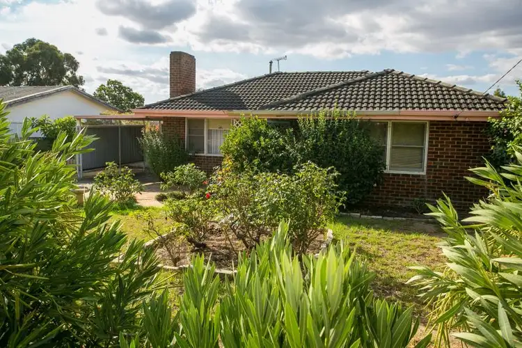 Third view of Homely house listing, 31 Caladenia Way, Koongamia WA 6056