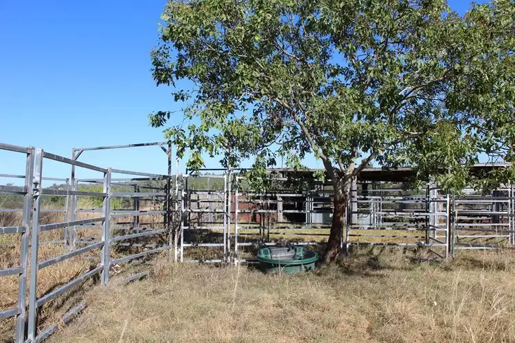 Fifth view of Homely rural property listing, 733 Upper Whitlow Road, Bingara NSW 2404