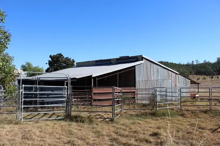 Sixth view of Homely rural property listing, 733 Upper Whitlow Road, Bingara NSW 2404