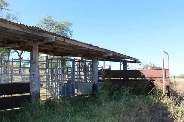 Seventh view of Homely rural property listing, 733 Upper Whitlow Road, Bingara NSW 2404