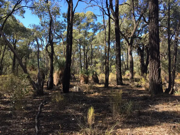 Second view of Homely rural property listing, Lot 15 Gold Diggers Road, Bailieston VIC 3608