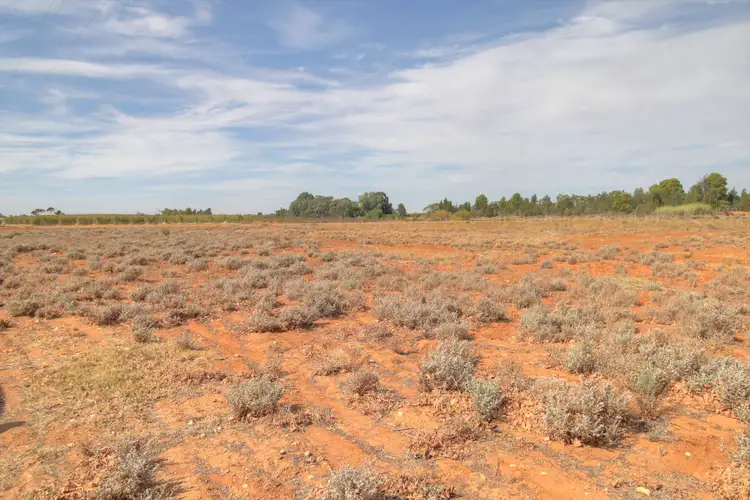 18 & 19 Tunkin Road, Barmera SA 5345
