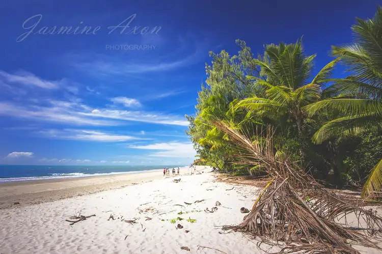 Sixth view of Homely villa listing, Villa 452 Avenue of Palms, Port Douglas QLD 4877