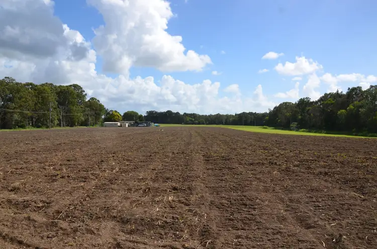 Second view of Homely rural property listing, 1499 Roys Road, Coochin Creek QLD 4519