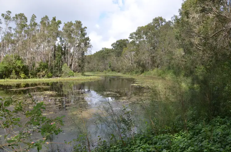 Third view of Homely rural property listing, 1499 Roys Road, Coochin Creek QLD 4519