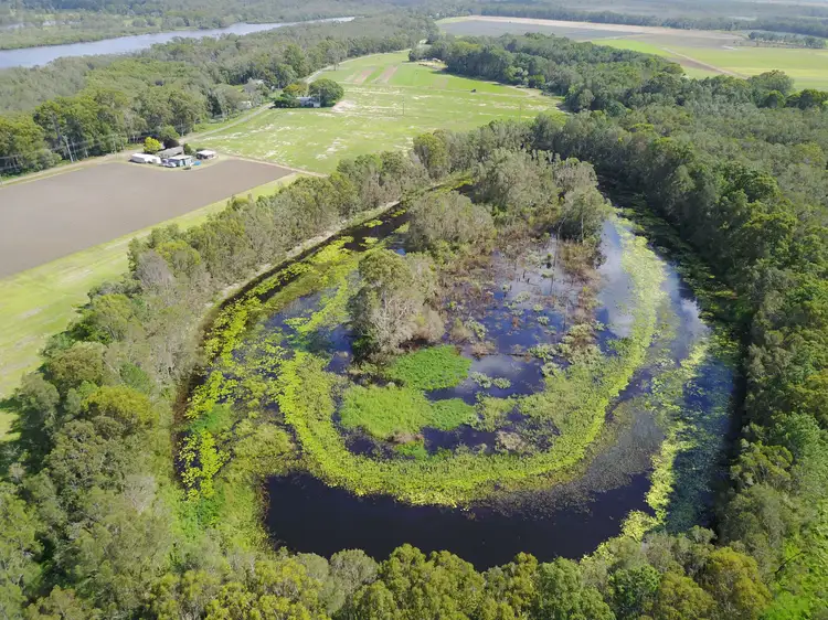 Seventh view of Homely rural property listing, 1499 Roys Road, Coochin Creek QLD 4519