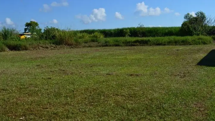 Main view of Homely land listing, 7 Mary Street, Silkwood QLD 4856