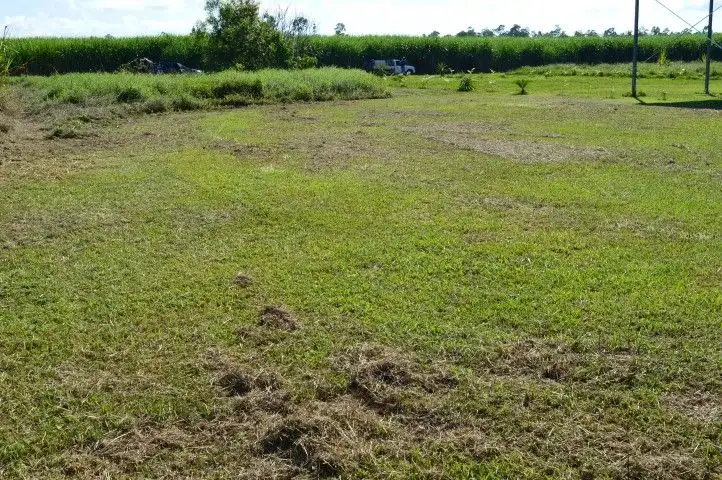 Third view of Homely land listing, 7 Mary Street, Silkwood QLD 4856