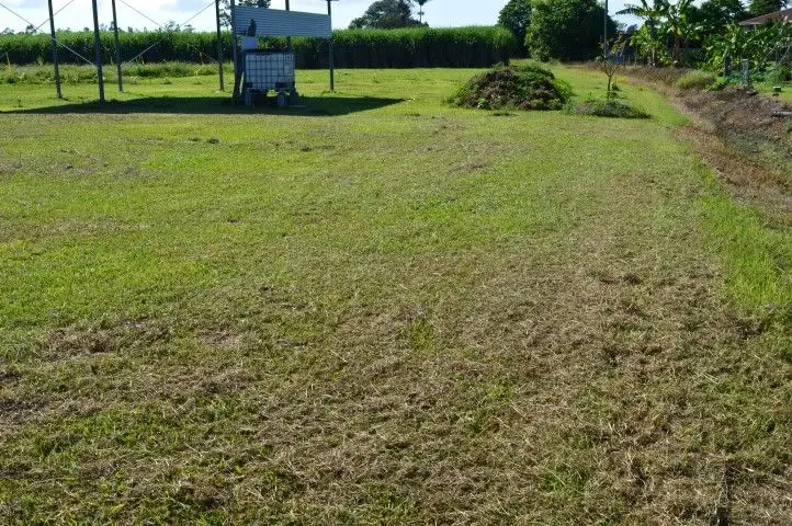 Seventh view of Homely land listing, 7 Mary Street, Silkwood QLD 4856