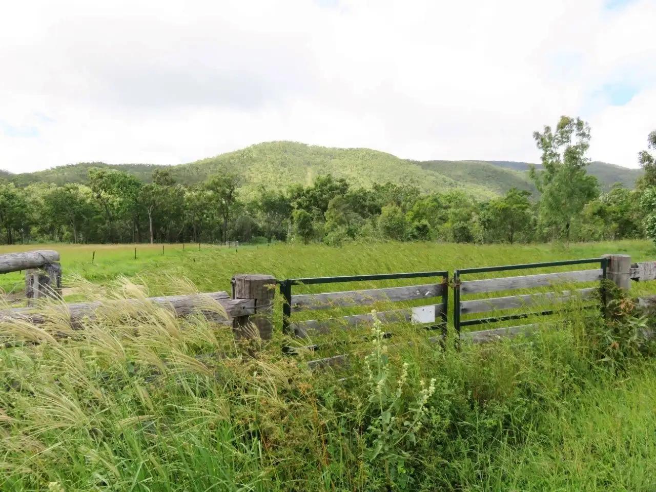 Main view of Homely rural property listing, Lot 37 Oaky Valley Avenue, Mutchilba QLD 4872