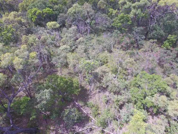 Seventh view of Homely rural property listing, Lot 37 Oaky Valley Avenue, Mutchilba QLD 4872