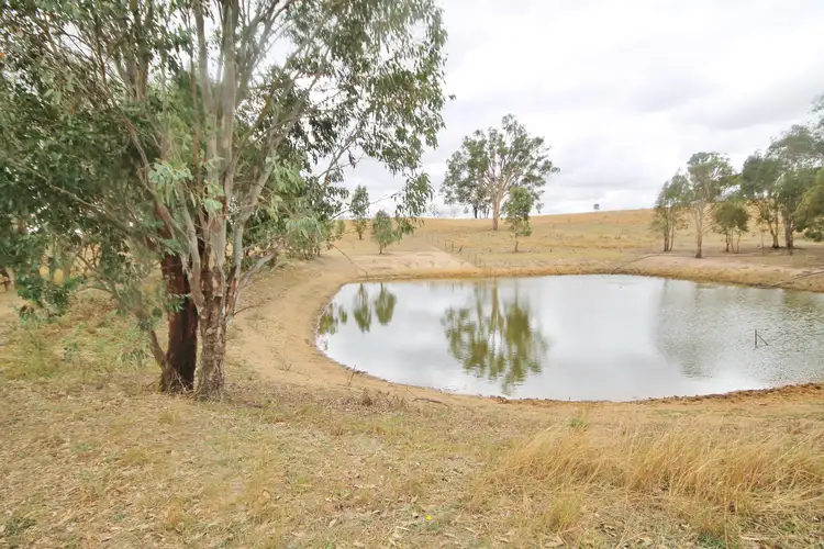 Main view of Homely land listing, 655 Olympic Highway, Young NSW 2594