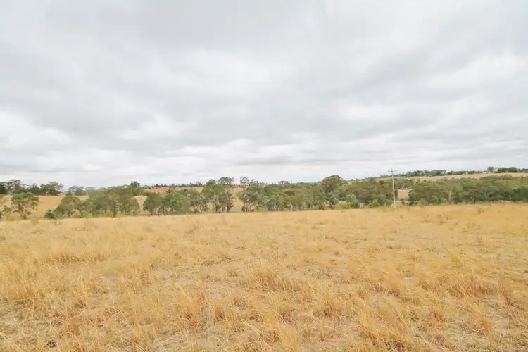 Sixth view of Homely land listing, 655 Olympic Highway, Young NSW 2594