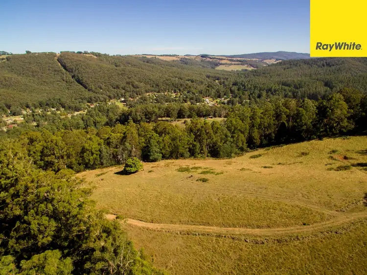 Fourth view of Homely land listing, 155 Ridge Road, Noojee VIC 3833