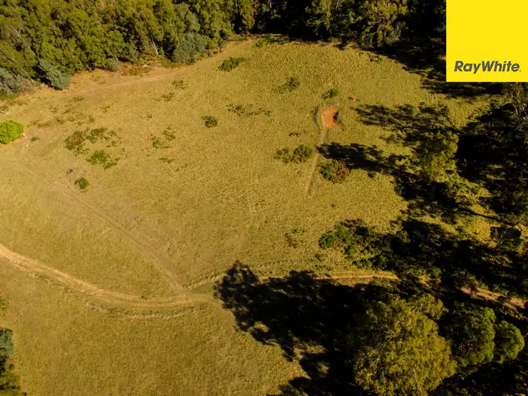 Fifth view of Homely land listing, 155 Ridge Road, Noojee VIC 3833
