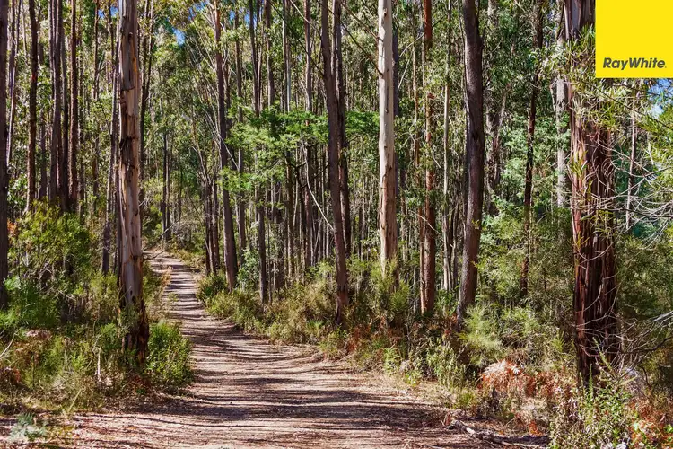 Sixth view of Homely land listing, 155 Ridge Road, Noojee VIC 3833