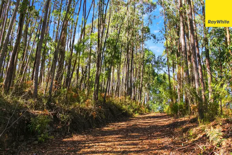 Seventh view of Homely land listing, 155 Ridge Road, Noojee VIC 3833