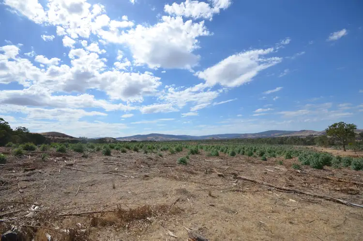 Third view of Homely rural property listing, "Darbyshire" Hickman Creek Road, Glenlogie VIC 3469