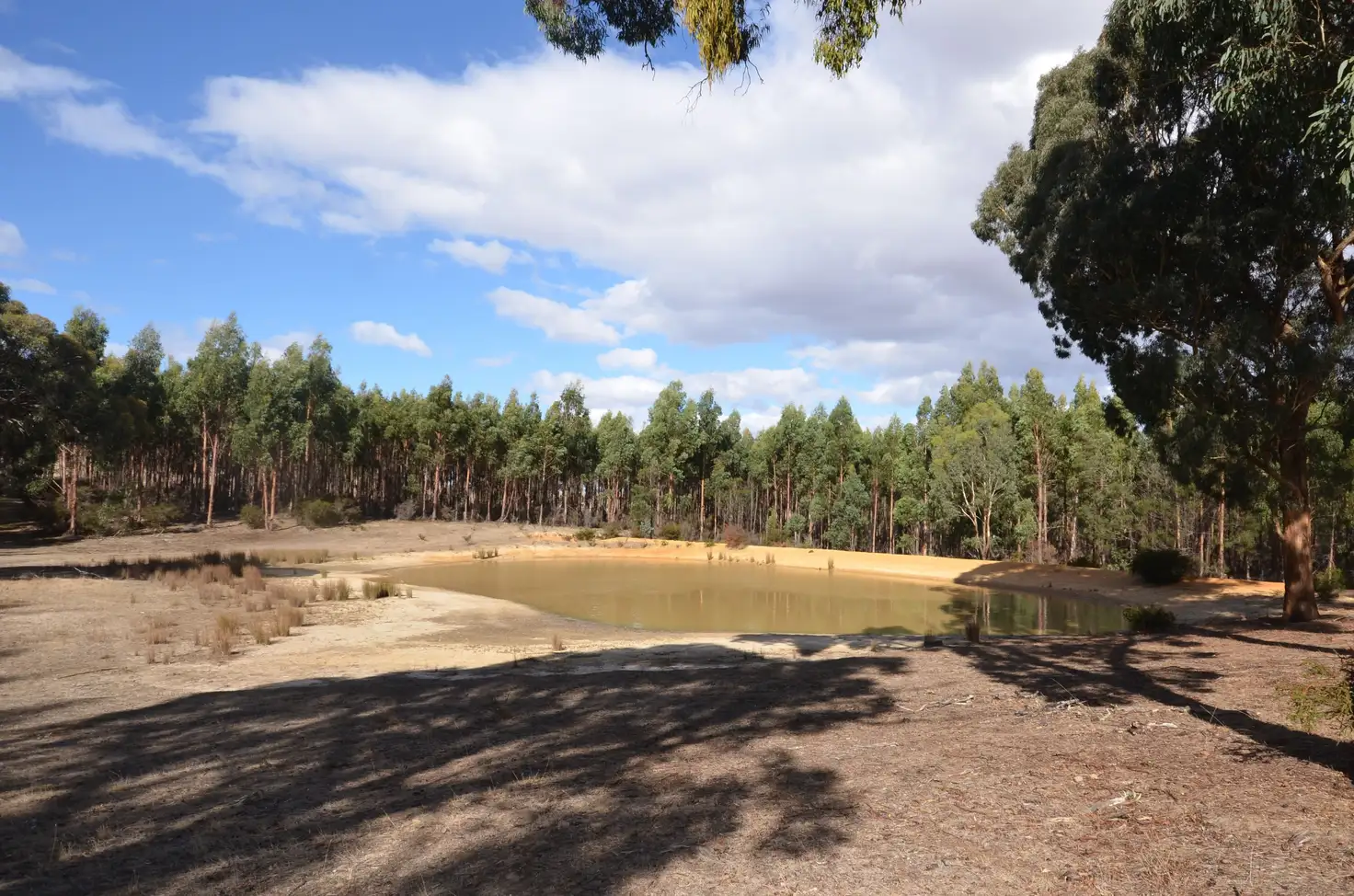 Main view of Homely rural property listing, "Cain" Western Highway, Buangor VIC 3375