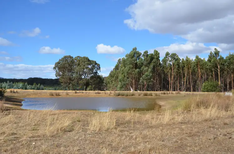 Fifth view of Homely rural property listing, "Cain" Western Highway, Buangor VIC 3375