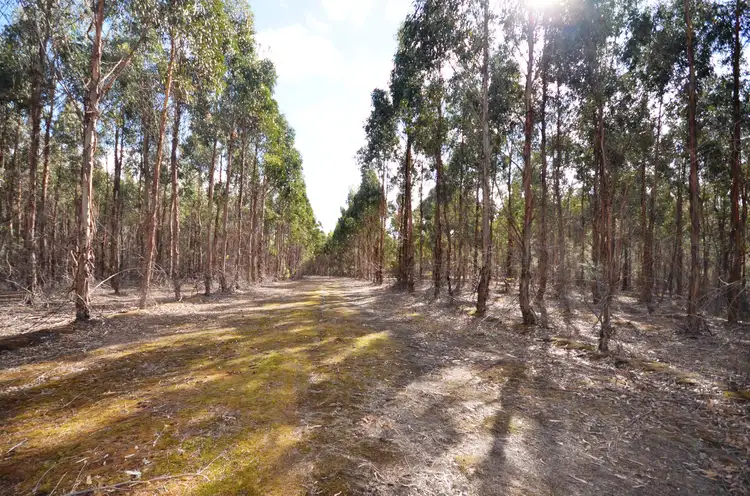 Sixth view of Homely rural property listing, "Cain" Western Highway, Buangor VIC 3375
