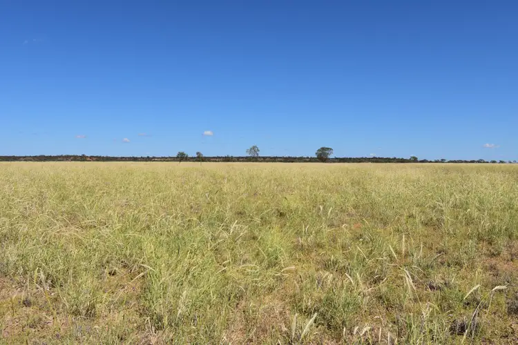 Fourth view of Homely rural property listing, Address available on request