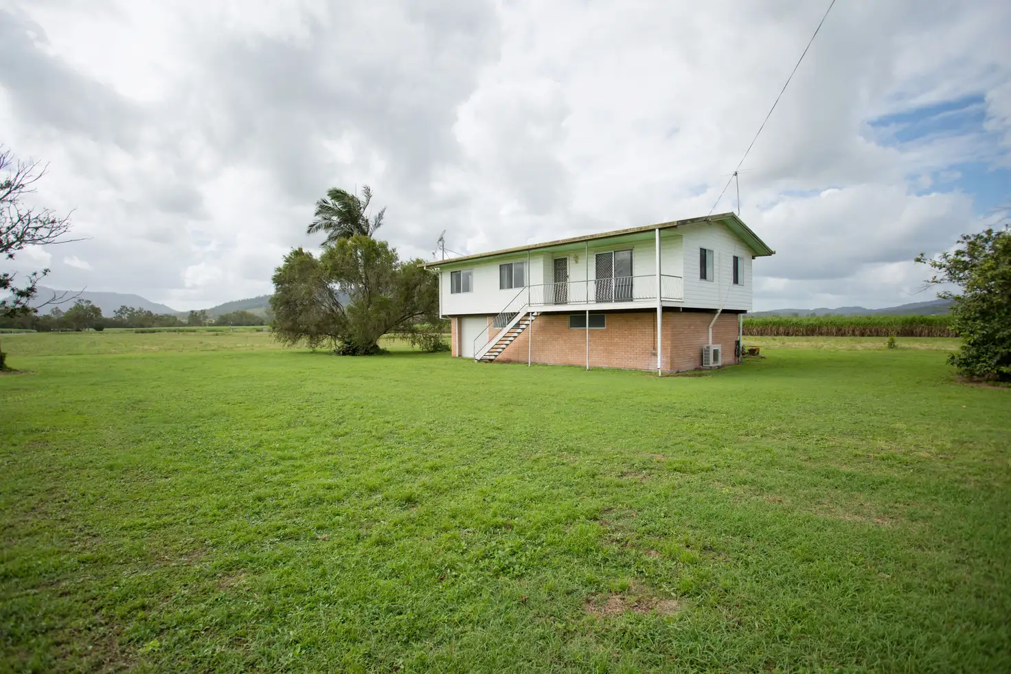 Main view of Homely rural property listing, 242 Mt Martin Loop Road, Mirani QLD 4754
