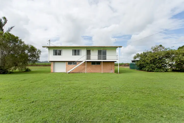 Second view of Homely rural property listing, 242 Mt Martin Loop Road, Mirani QLD 4754
